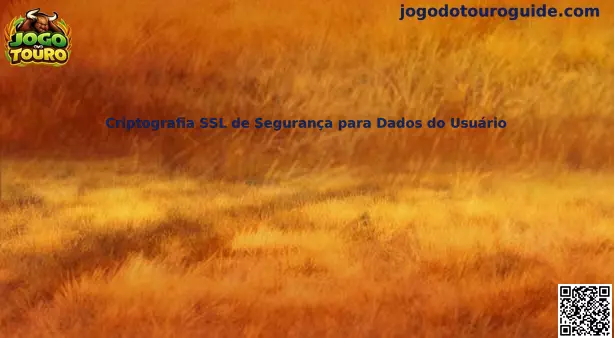 Criptografia SSL de Segurança para Dados do Usuário